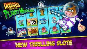 Antarmuka aplikasi mobile pertaruhan dengan menu sportsbook dan casino